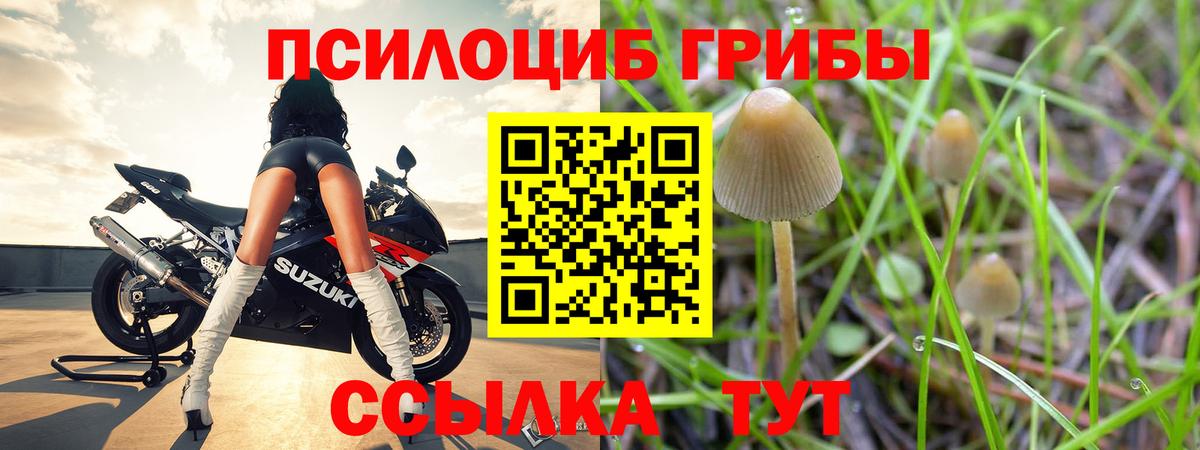 Астрахань  Галлюциногенные грибы MAGIC MUSHROOMS  что такое наркотик  Вход с VPN 